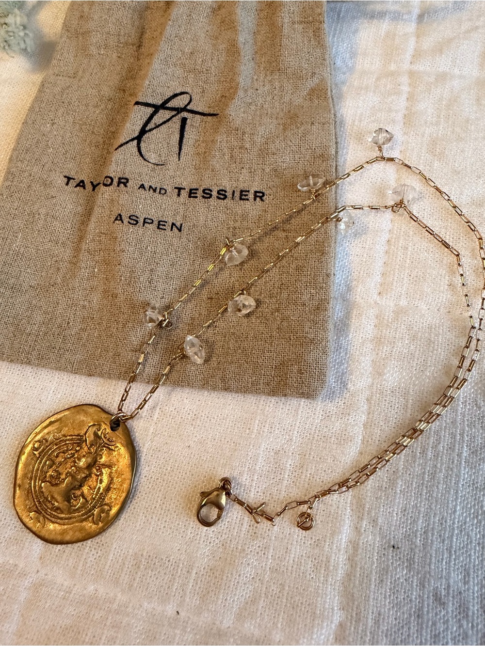 Taylor and Tessier Aspen Gold and Crystal Coin Pendant Necklace